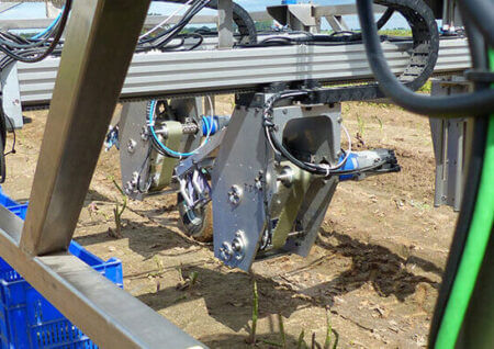 HepcoMotion - Harvesting robots could make green asparagus cheaper