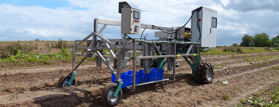HepcoMotion - Harvesting robots could make green asparagus cheaper