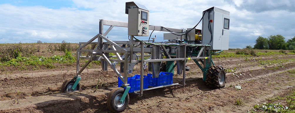 HepcoMotion - Harvesting robots could make green asparagus cheaper