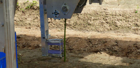 HepcoMotion - Harvesting robots could make green asparagus cheaper