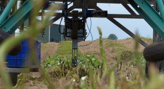 HepcoMotion - Harvesting robots could make green asparagus cheaper